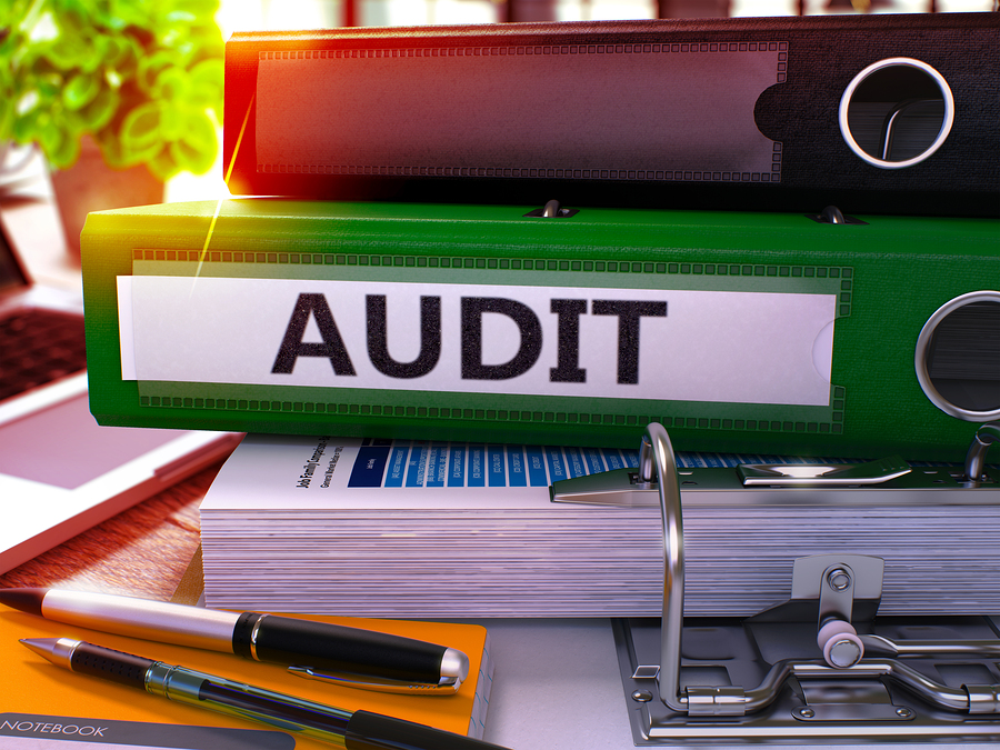 California nonprofit audit